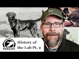 History of the Labrador (Part 2 of 3): Development Period | DU Podcast