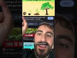 Dunya is a GAME… and this is how you WIN IT