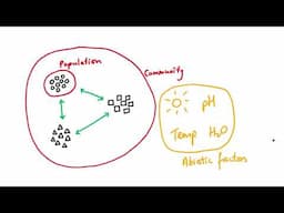 GCSE Biology - B16 Interdependence OVERVIEW