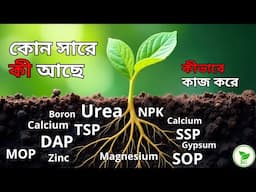 জৈব সার কি রাসায়নিক সারের বিকল্প হতে পারে? Which Chemical Fertilizer Plays What Function?