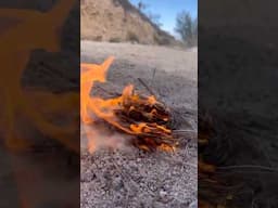 Fire Roll🔥with a Cotton Ball #firestarters #offgrid