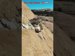 Is This a Prehistoric Snake Fossil in the Rock!?