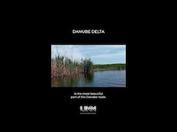 Monica explores Romania's Danube Delta, a haven of wetlands, wildlife, and adventure!