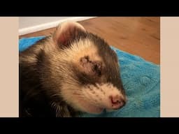 Simon had surgery to remove his right eye