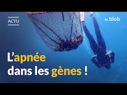 Les Haenyeo, plongeuses de l’extrême en Corée : que révèle leur ADN ? | ACTU DE SCIENCE