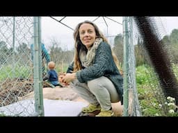 A Week of RAIN and a FRUIT CAGE | Self Sufficient Family HOMESTEAD IN SPAIN