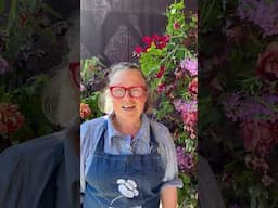 Live chat about how we won a gold medal at the Chelsea flower show today 5pm uk time