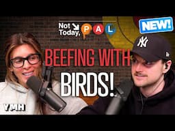 Some Birds Tried To Whack Rob | Not Today, Pal