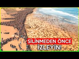 Bir Yolcu Tarafından Kaydedilmeseydi, Kimse Uçakta Yaşananlara İnanmazdı! İzleyince Şok Olacaksınız!
