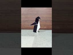 Origami Penguin