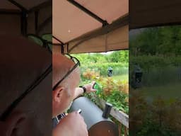 Sniping with the Cygnus V2 #short