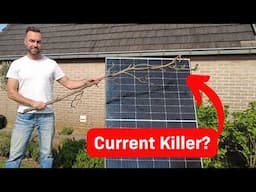 Shading Effects on a Solar Panel - Branches, Wire, and partial shading
