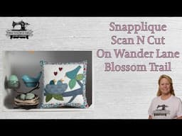 Snapplique Birds Mini Quilt, On Wander Lane, the Stitchuation Room, 4/23/25