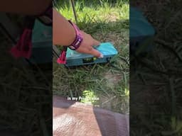 solo camp set up for bonnaroo music festival.