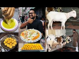 জুম্মনের আলুর চপের চটপটি 🔥 জাকিরের কাবাব রোল & আমাদের এবারের কোরবানির গরু ও খাসি 🖤