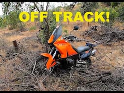 RIDING BIG ADV BIKES IN THICK SAND-SHAKING-OFF THE COBWEBS