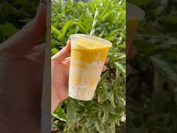 #mangostickyrice #downtoearth #smoothie #erwhon #viralsmoothie #tastetest #hawaii #fyp