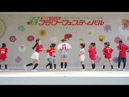 ⑧Dream Star  フラワーフェスティバル2025
