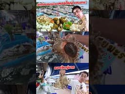 คนญี่ปุ่นบอกคนไทยใช้คำว่าซาชิมิชินจนเหมือนเป็นภาษาไทยไปแล้ว! หอยหน้าตาประหลาดแต่อร่อยมาก