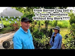 Growing Food In Thailand Off Grid! | Rainy Season Solar Farm May Update | MTGA 2025