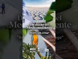 DÍA MUNDIAL DEL MEDIO AMBIENTE #inebolivia #díamundialdelmedioambiente