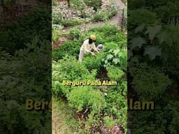 Berkebun Tengah Kota