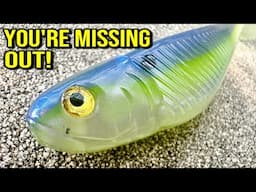 Want to Catch More Fish? These Baits Are the Real Secret