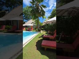 Discover This Tropical Pool Hideaway in Bohol 🌺 #bohol