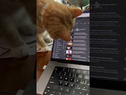 Otis helping with the computer