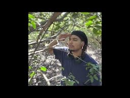 imxavier - go dumb freestyle! (prod. @kxxdo )