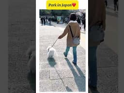 Park in Japan