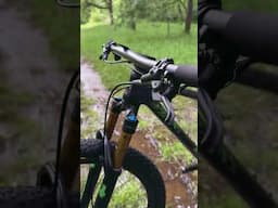 Lynx SLS & XTR | New models available