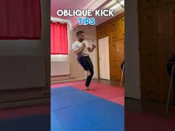 Oblique Kick #martialarts #kicks #tips #karate #mma