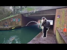 I Caught an Urban Canal GIANT!