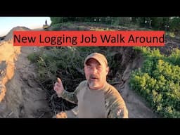 New Firewood Logging Project, What Trees Do We Have #firewood