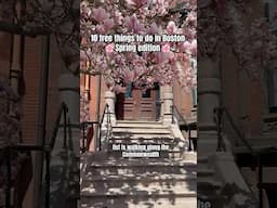 Hidden gems + blooms: 10 free things to do in Boston #bostonthingstodo #bostonfreethings #boston