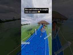 Caught on camera , sea creature | paras Tomar | #ParasKeNuskhe