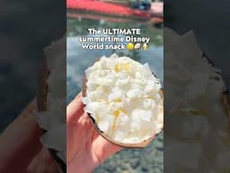 The ULTIMATE Summertime Disney World Snack 🥥🍦