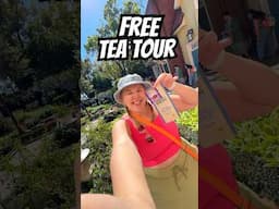 FREE Tea Tour at Epcot Flower & Garden Festival