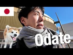 【Akita Dog city】Discover the Real Hachiko's town in Rural Japan 🇯🇵