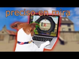 CASI LE QUITO LA PC A MI PERRO.