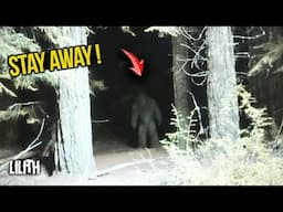 *WARNING* There Are THOUSANDS OF THESE In National Parks
