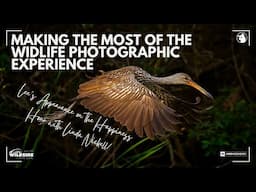 The Happiness Hour with Lee Hoy - Making the Most of the Wildlife Photographic Experience