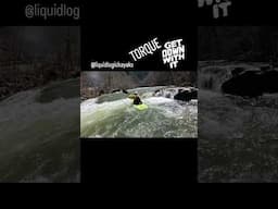 Liquidlogic Torque Going Down!