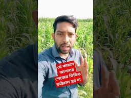 যে কারণে আপনার পেজের ভিডিও ভাইরাল হয় না #shorts