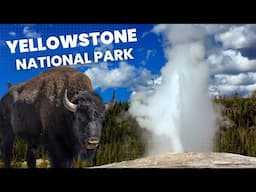 ULTIMATE Guide To Yellowstone National Park!