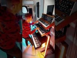 J3PO - Minimoog, Prophet 6, Vintage Vibe live improvisation #synth #keyboard #electronicmusic
