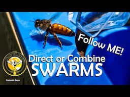 Small Swarms Combined Controlled Hived, Small Clusters to ONE Colony.