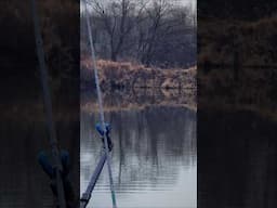 Guess who!?!.... #wędkarstwo #fishing #рыбалканафидер