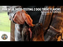 Making & Taste-Testing Dog Treats - Banana and Pumpkin Flavors